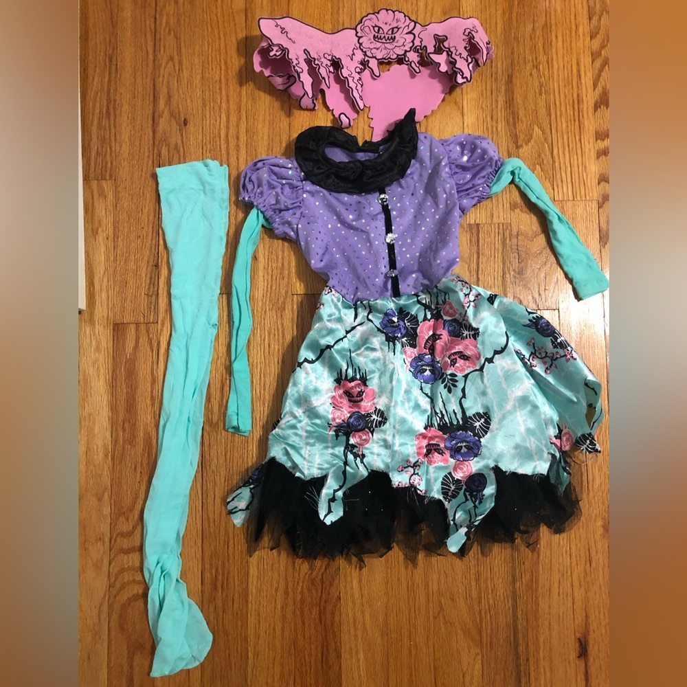 Rubie’s monster high Halloween costume toddler size small Dress tights and belt